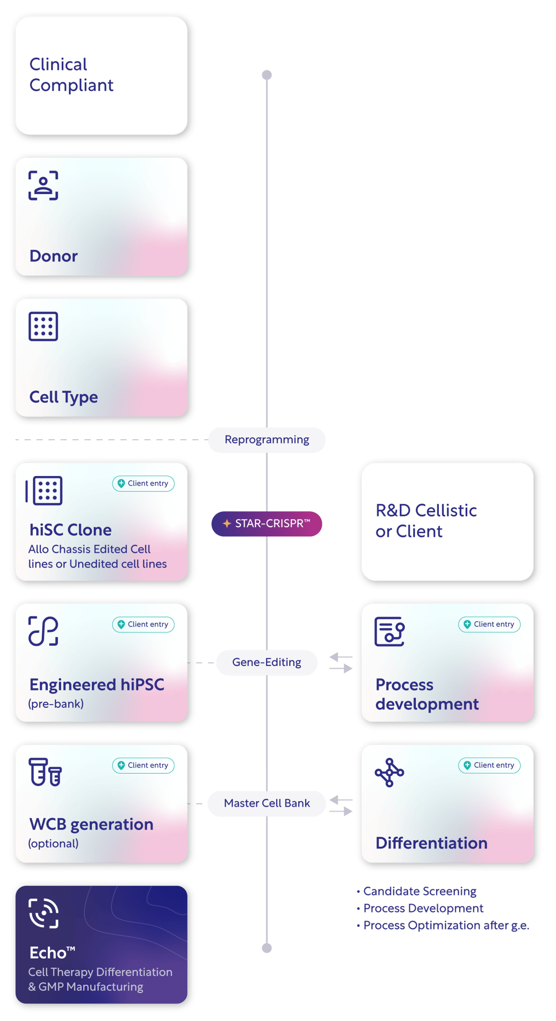 Cellistic's integrated iPSC CDMO workflow graphic, illustrating the full process from cell source to clinical product. Cellistic's integrated iPSC CDMO workflow graphic, illustrating the full process from cell source to clinical product.