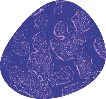 Cells custom shape