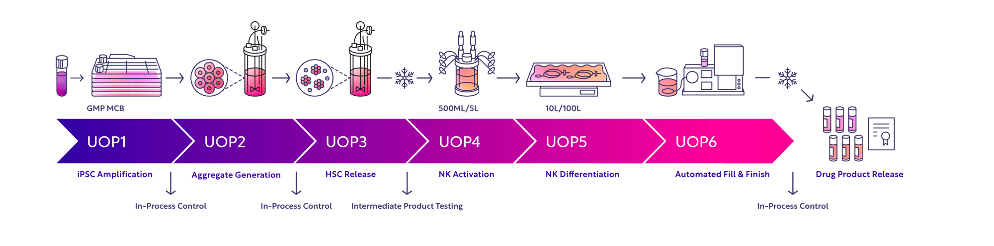  NK Platform Overview & In-Process Controls