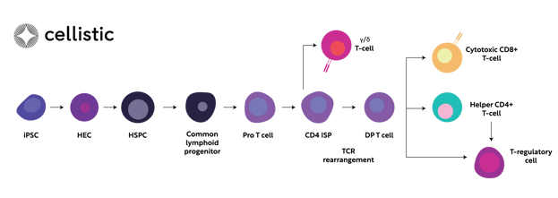 Cellistic cell process graphic dv1@2x-2