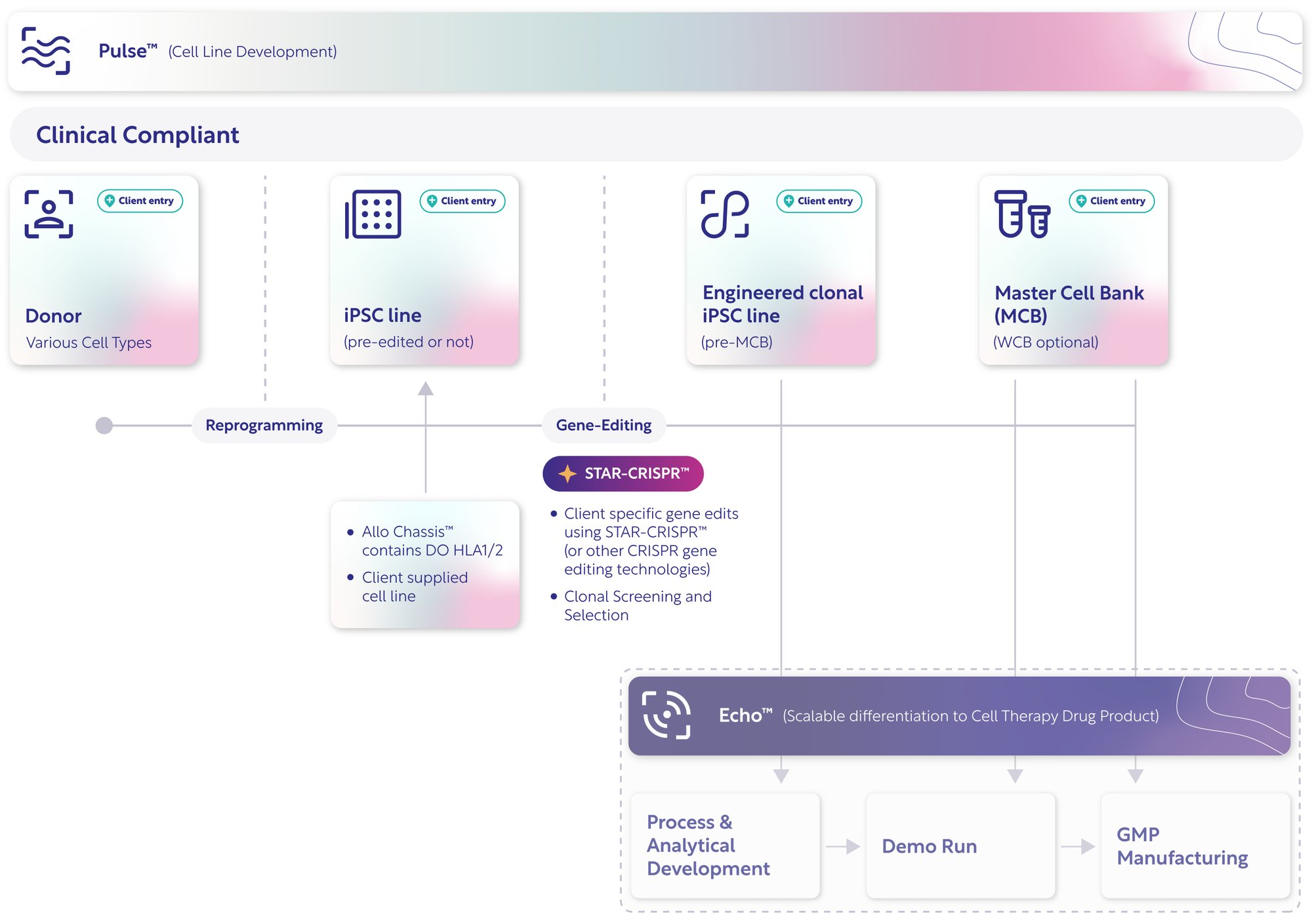 Cellistic---Integrated-iPSC-CDMO-Workflow---Graphic---3000-px---RGB---V1 Cellistic---Integrated-iPSC-CDMO-Workflow---Graphic---3000-px---RGB---V1