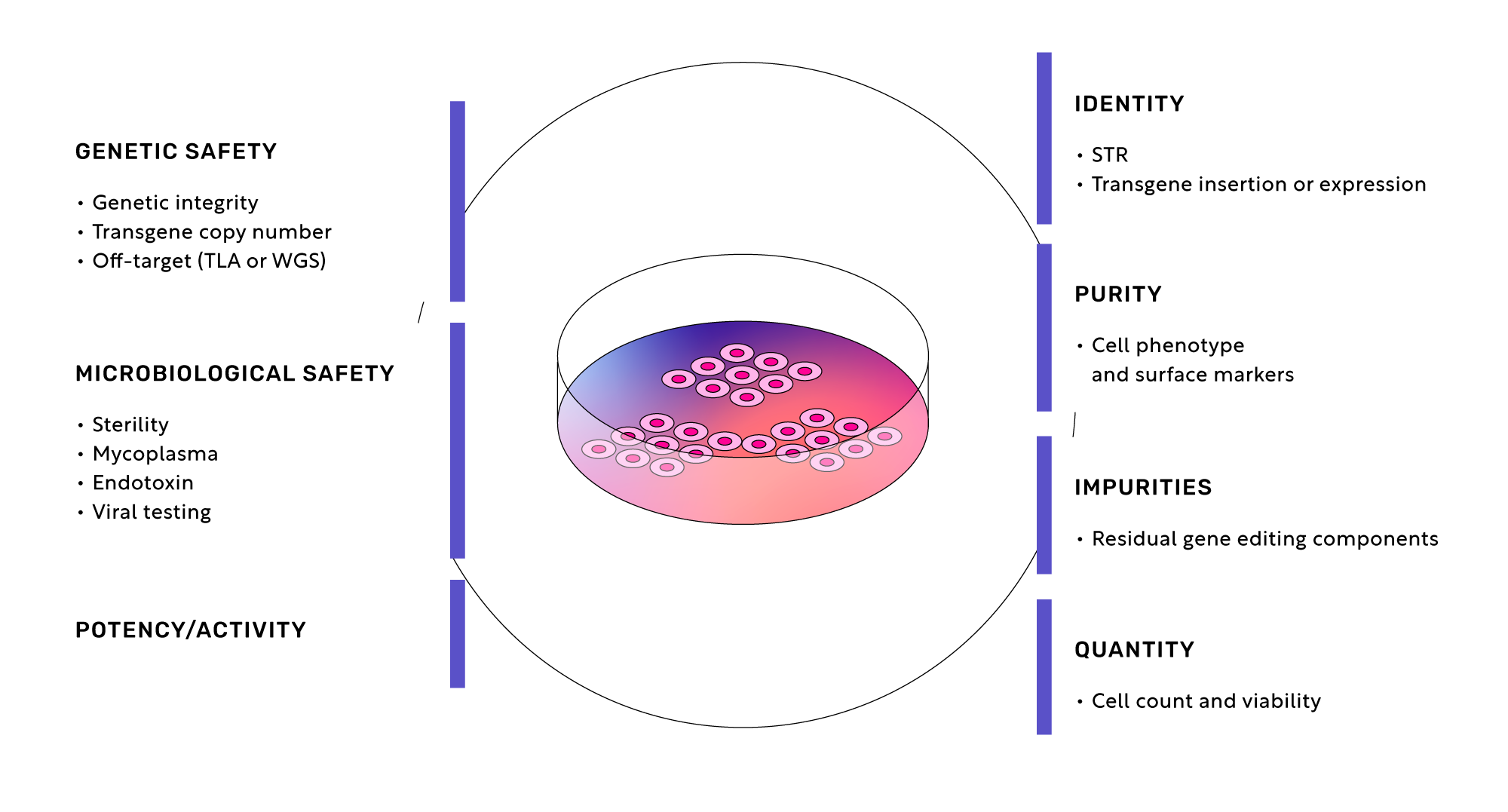 Cellistic-Pulse-QA-Chart