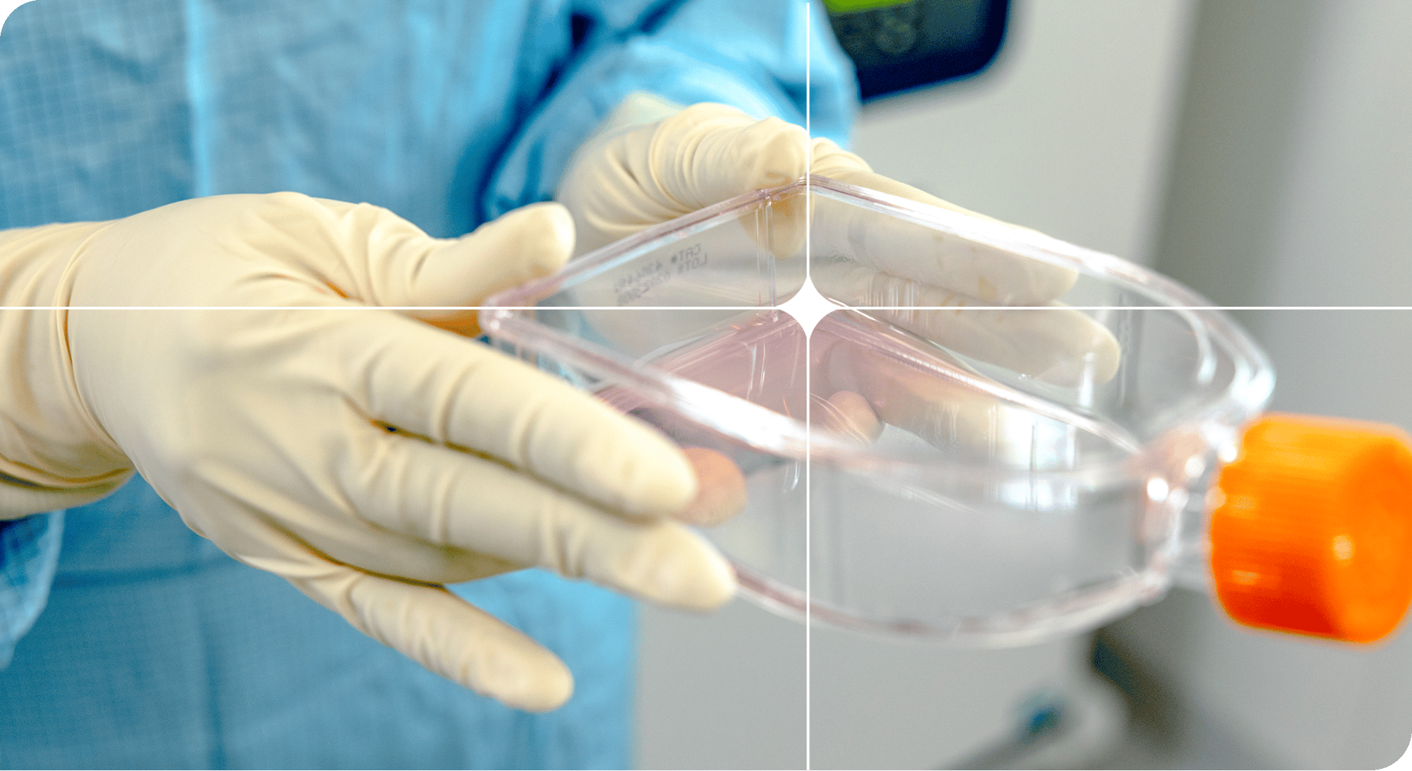 Group 35321 Group 35321