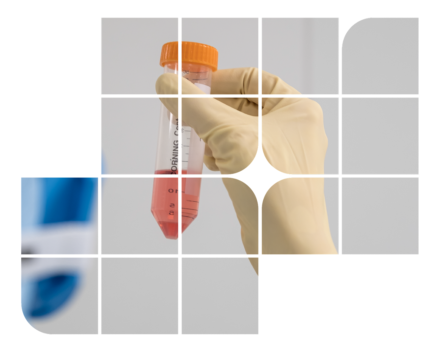 _CELL-CTA-image-2 2-1