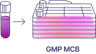 iPSC Amplification