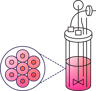Aggregate Generation