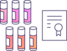 Drug Product Release