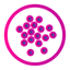 Cell Type