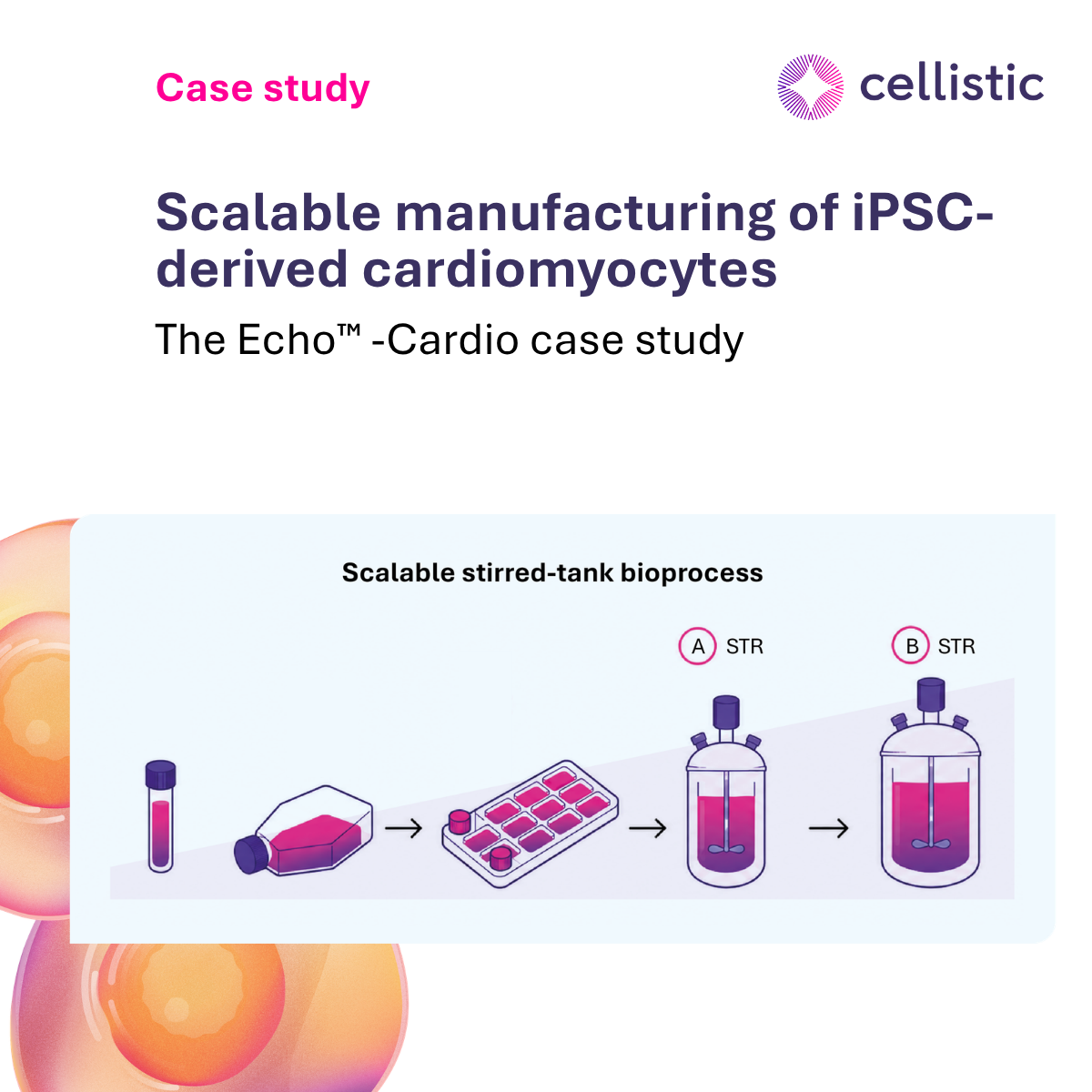 iPSC-derived cardiomyocytes