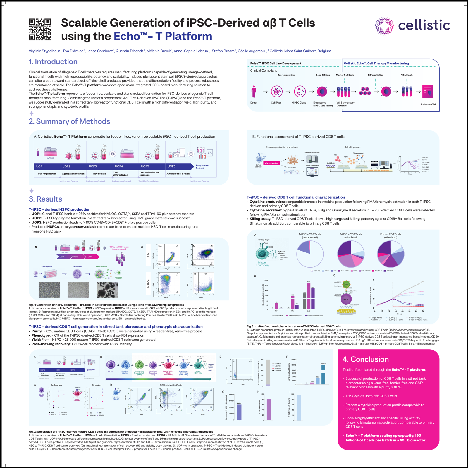 α/β T cells preview